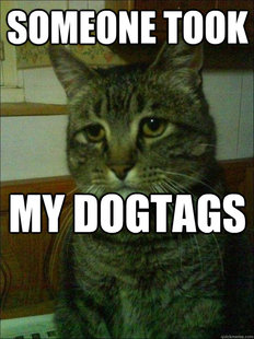 Depressed cat