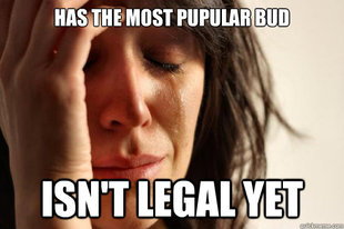 First World Problems
