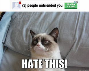 Grumpy Cat on Being Unfriended