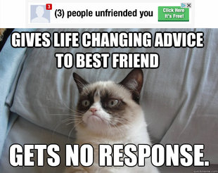 Grumpy Cat on Being Unfriended