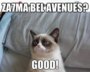 Grumpy Cat on Being Unfriended
