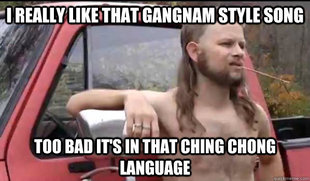 Almost Politically Correct Redneck