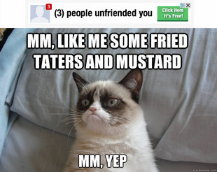Grumpy Cat on Being Unfriended