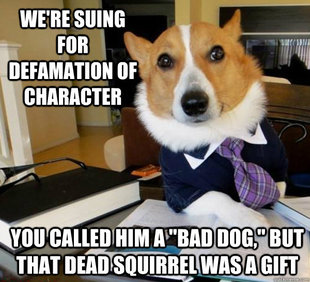 Lawyer Dog