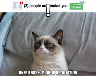 Grumpy Cat on Being Unfriended