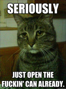 Depressed cat