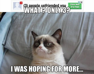 Grumpy Cat on Being Unfriended
