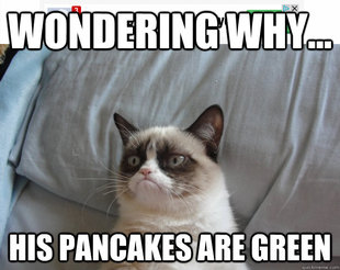 Grumpy Cat on Being Unfriended