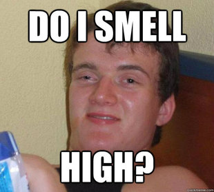 Really High Guy