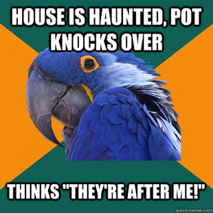 Paranoid Parrot