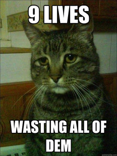 Depressed cat