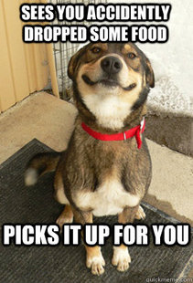 Good Dog Greg