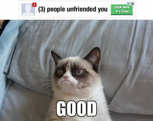Grumpy Cat on Being Unfriended