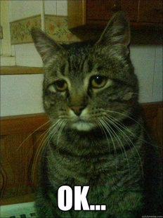 Depressed cat