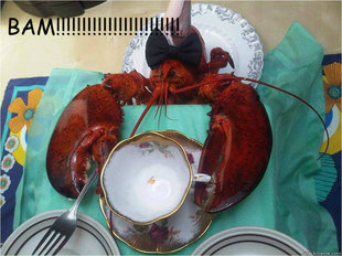 Impatient Lobster
