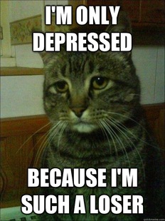 Depressed cat