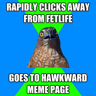 Hawkward