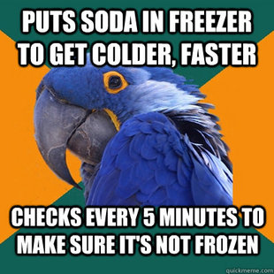 Paranoid Parrot
