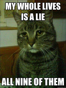 Depressed cat