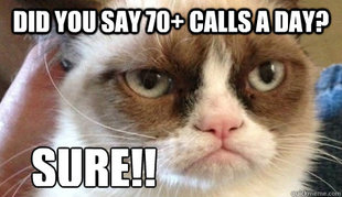 Grumpy cat