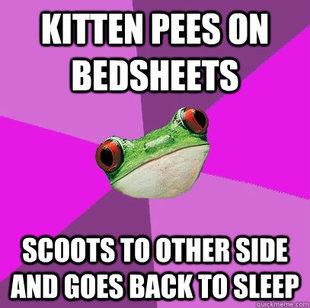 Foul Bachelorette Frog