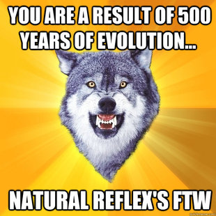 Courage Wolf