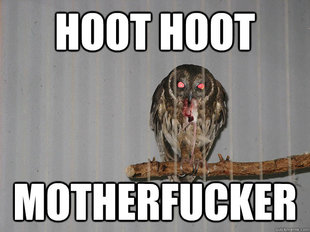 Bloodthirsty Owl