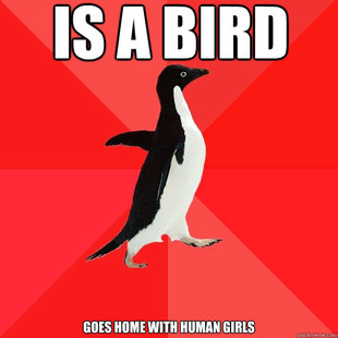 Socially Awesome Penguin