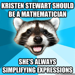 Lame Pun Coon
