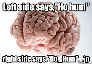 Scumbag Brain