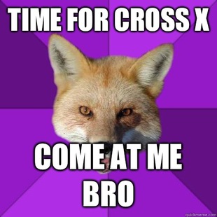 Forensics Fox
