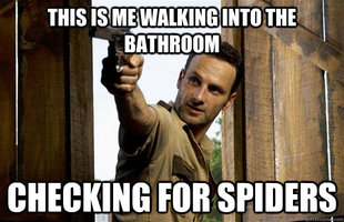 checking for spiders