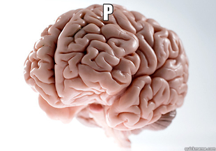 Scumbag Brain