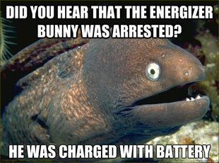 Bad Joke Eel