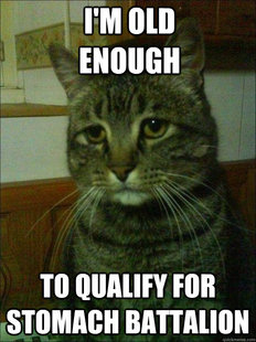 Depressed cat