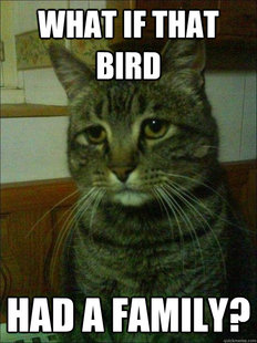 Depressed cat