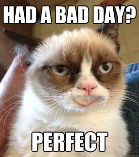 Happy Cat