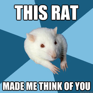 Psychology Major Rat