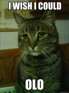 Depressed cat