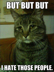 Depressed cat