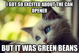 First World Cat Problems