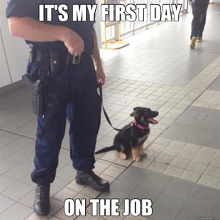 first day