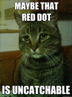 Depressed cat