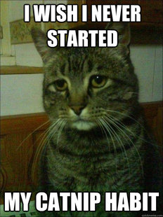 Depressed cat
