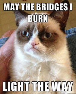 Grumpy cat