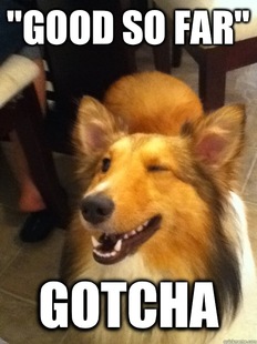 implying dog