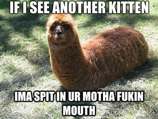 Alpacapillar