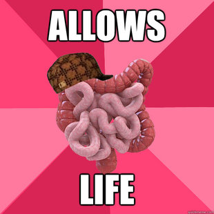 Scumbag Intestines