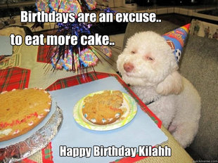 Birthday Dog