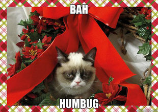A Grumpy Cat Christmas